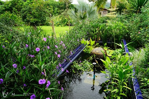 พาชมบ้านนอกและสวนของผม ในยามฝนแล้ง