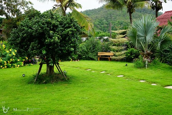 พาชมบ้านนอกและสวนของผม ในยามฝนแล้ง