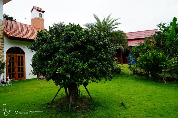 พาชมบ้านนอกและสวนของผม ในยามฝนแล้ง