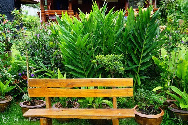 พาชมบ้านนอกและสวนของผม ในยามฝนแล้ง