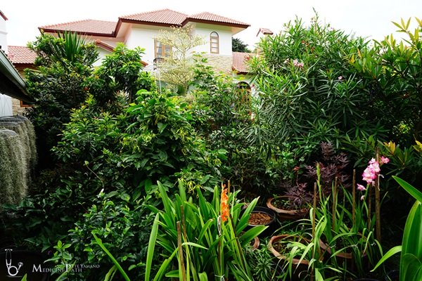 พาชมบ้านนอกและสวนของผม ในยามฝนแล้ง