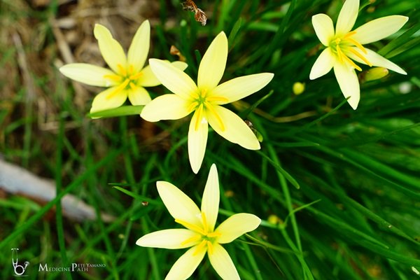 พาชมบ้านนอกและสวนของผม ในยามฝนแล้ง