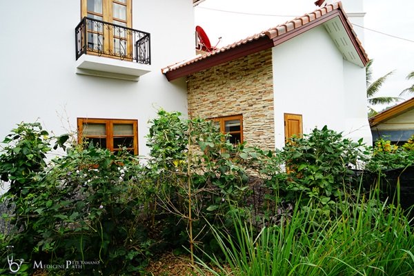 พาชมบ้านนอกและสวนของผม ในยามฝนแล้ง