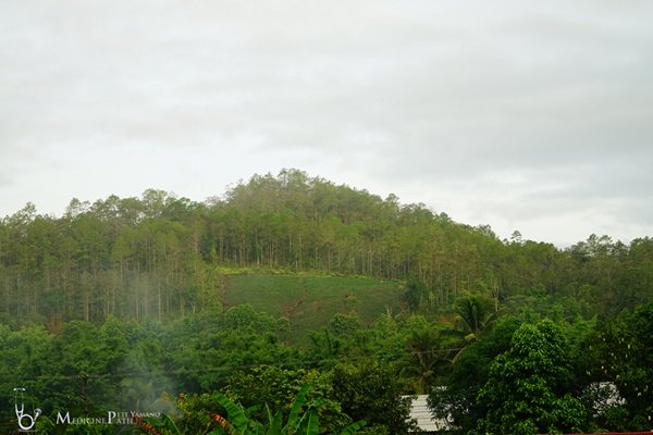 พาชมบ้านนอกและสวนของผม ในยามฝนแล้ง