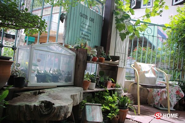 “ Vintage Garden ” สวนริมรั้วตามใจฉัน จัดเอง แม้พื้นที่จำกัด