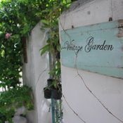“ Vintage Garden ” สวนริมรั้วตามใจฉัน จัดเอง แม้พื้นที่จำกัด