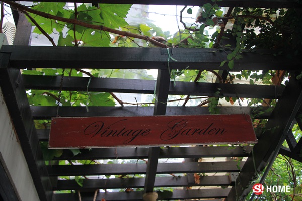 “ Vintage Garden ” สวนริมรั้วตามใจฉัน จัดเอง แม้พื้นที่จำกัด