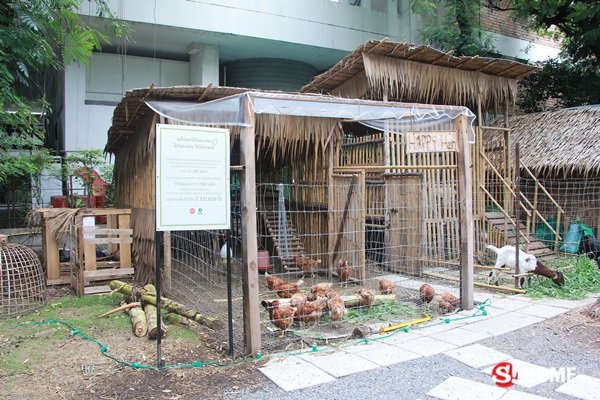 รื้อที่กลางทองหล่อ 300 ล้าน เป็น “Root Garden” ปลูกผัก เลี้ยงไก่ ให้อาหารแพะ