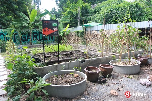 รื้อที่กลางทองหล่อ 300 ล้าน เป็น “Root Garden” ปลูกผัก เลี้ยงไก่ ให้อาหารแพะ