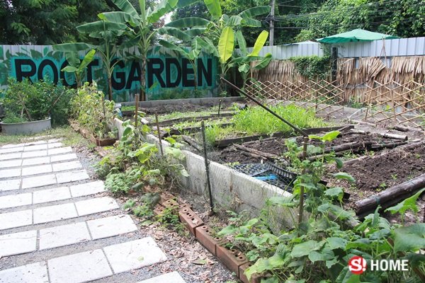 รื้อที่กลางทองหล่อ 300 ล้าน เป็น “Root Garden” ปลูกผัก เลี้ยงไก่ ให้อาหารแพะ