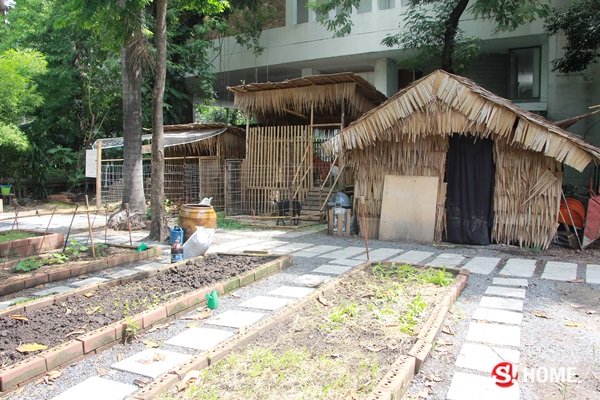 รื้อที่กลางทองหล่อ 300 ล้าน เป็น “Root Garden” ปลูกผัก เลี้ยงไก่ ให้อาหารแพะ