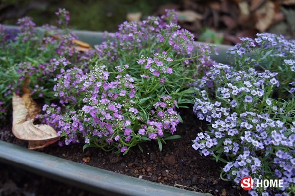 15 บัญญัติ จัด “สวนญี่ปุ่น” ที่บ้านอย่างไรให้เป๊ะปัง