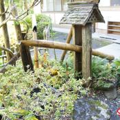 15 บัญญัติ จัด “สวนญี่ปุ่น” ที่บ้านอย่างไรให้เป๊ะปัง