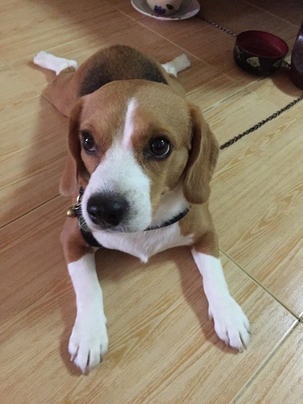 จ่ายเงินรีโนเวทไปไม่ถึง 3000 อารมณ์มันเหมือนได้ห้องน้ำใหม่ รูปเยอะมากก