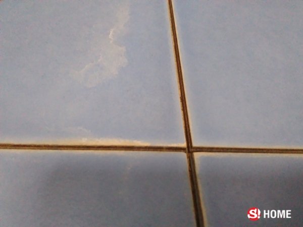 พิชิต “คราบฝ้าขาว” บนพื้นห้องน้ำ ด้วย “เกลือป่น" สะอาดล้ำแบบฟรีๆ