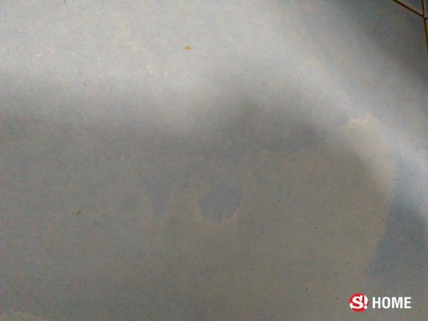 พิชิต “คราบฝ้าขาว” บนพื้นห้องน้ำ ด้วย “เกลือป่น" สะอาดล้ำแบบฟรีๆ