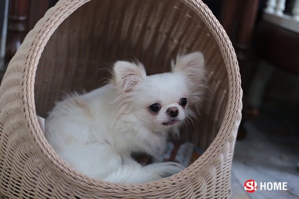 เปิดบ้านแสนอบอุ่นของไฮโซสาว “โอบอุ้ม-รัสรินทร์” ชุมสาย ณ อยุธยา