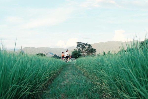 เปลี่ยน “บ้านดิน” เป็น “บ้านสวนกำลังดี” โฮมสเตย์กิน-อยู่แบบพอดี พอดี