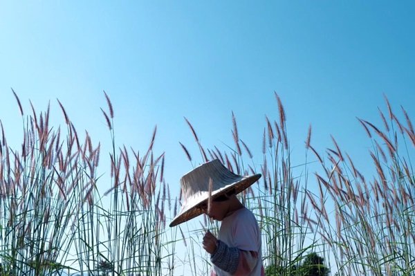 เปลี่ยน “บ้านดิน” เป็น “บ้านสวนกำลังดี” โฮมสเตย์กิน-อยู่แบบพอดี พอดี