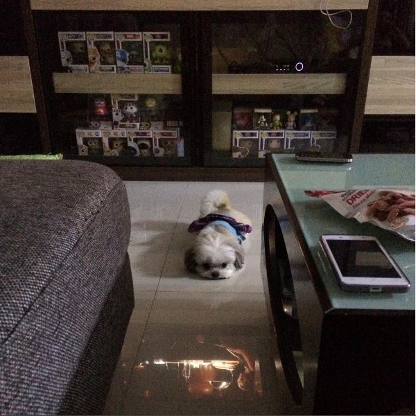 "บ้านดารา" ที่แม้จะไม่ใช่ตัวพ่อ ตัวแม่ แต่บ้านหลังใหญ่ใช้ได้เลย