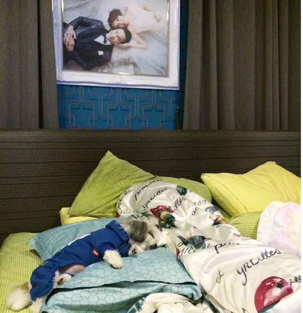 "บ้านดารา" ที่แม้จะไม่ใช่ตัวพ่อ ตัวแม่ แต่บ้านหลังใหญ่ใช้ได้เลย