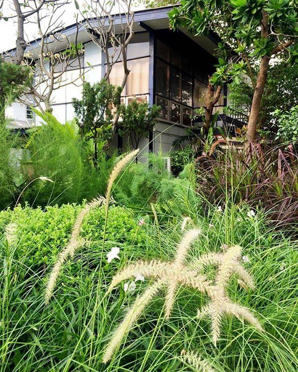 "บ้านดารา" ที่แม้จะไม่ใช่ตัวพ่อ ตัวแม่ แต่บ้านหลังใหญ่ใช้ได้เลย