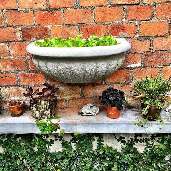 "บ้านดารา" ที่แม้จะไม่ใช่ตัวพ่อ ตัวแม่ แต่บ้านหลังใหญ่ใช้ได้เลย