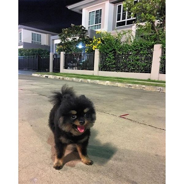 "บ้านดารา" ที่แม้จะไม่ใช่ตัวพ่อ ตัวแม่ แต่บ้านหลังใหญ่ใช้ได้เลย