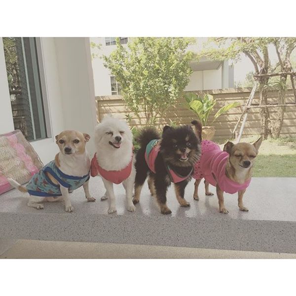 "บ้านดารา" ที่แม้จะไม่ใช่ตัวพ่อ ตัวแม่ แต่บ้านหลังใหญ่ใช้ได้เลย