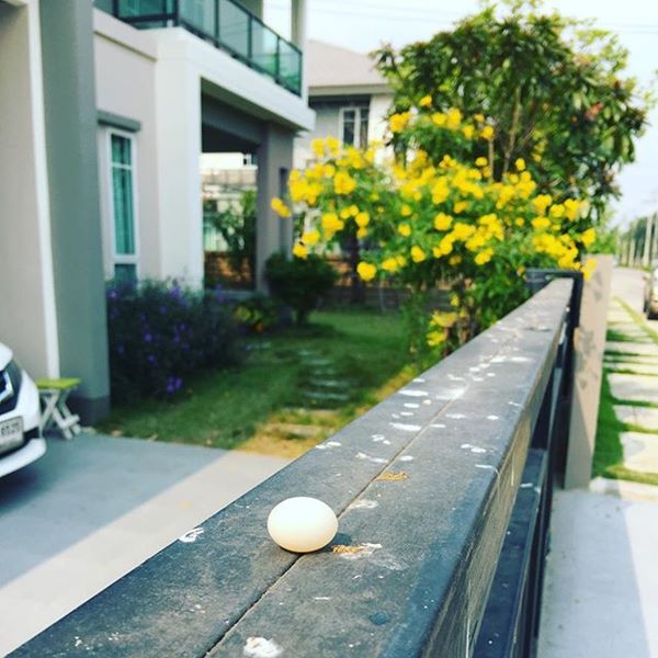 "บ้านดารา" ที่แม้จะไม่ใช่ตัวพ่อ ตัวแม่ แต่บ้านหลังใหญ่ใช้ได้เลย