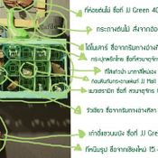 Review แต่งผนังคอนโด "1 ด้านถ้วน" สไตล์ฮิปสเตอร์