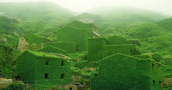 หมู่บ้านชาวประมงจีนที่ถูกทิ้งร้างให้กลืนหายไปในธรรมชาติ แต่มันกลับสวยงามมากๆ