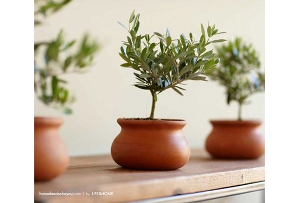 16 ไอเดียการแต่งบ้าน พร้อมเสริมดวงให้คนอยู่อาศัย