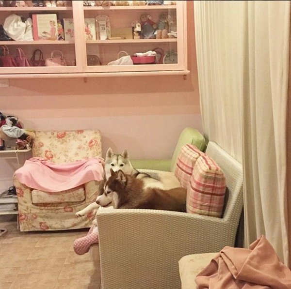 "บ้านแพนเค้ก เขมนิจ" บ้าน 3 หลังในรั้วเดียวกัน น่าอยู่สุดสุด