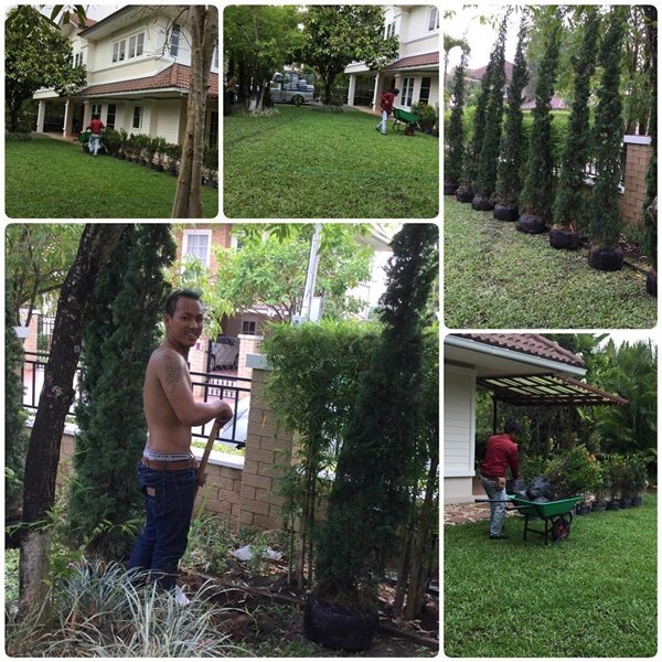 "บ้านอาจารย์ยิ่งศักดิ์" เรียบง่าย ร่มรื่น งดงาม น่าอยู่