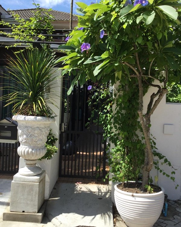 "บ้านอาจารย์ยิ่งศักดิ์" เรียบง่าย ร่มรื่น งดงาม น่าอยู่