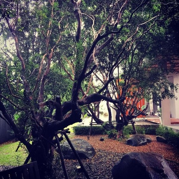 “บ้าน  3 หลังของเคน ธีรเดช” ครบทุกวิว ทะเล ภูเขา สระว่ายน้ำ