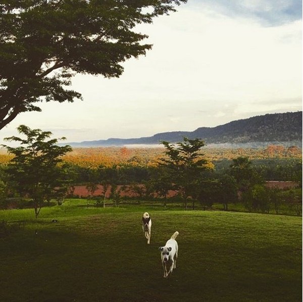 “บ้าน  3 หลังของเคน ธีรเดช” ครบทุกวิว ทะเล ภูเขา สระว่ายน้ำ