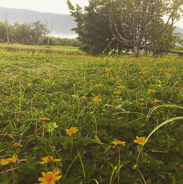 “บ้าน  3 หลังของเคน ธีรเดช” ครบทุกวิว ทะเล ภูเขา สระว่ายน้ำ