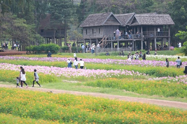 เฮือนนางสาหร่าย "บ้านคำแก้ว" เจ้าแม่นาคี สถาปัตยกรรมอีสานอันงดงาม
