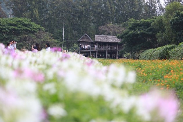 เฮือนนางสาหร่าย "บ้านคำแก้ว" เจ้าแม่นาคี สถาปัตยกรรมอีสานอันงดงาม