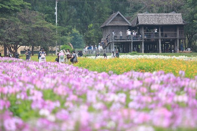 เฮือนนางสาหร่าย "บ้านคำแก้ว" เจ้าแม่นาคี สถาปัตยกรรมอีสานอันงดงาม