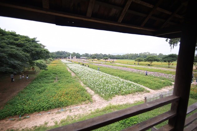 เฮือนนางสาหร่าย "บ้านคำแก้ว" เจ้าแม่นาคี สถาปัตยกรรมอีสานอันงดงาม