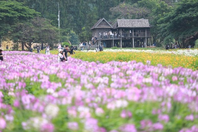 เฮือนนางสาหร่าย "บ้านคำแก้ว" เจ้าแม่นาคี สถาปัตยกรรมอีสานอันงดงาม