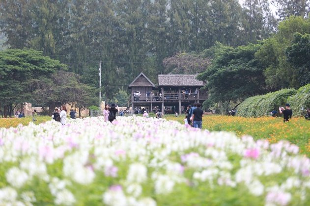 เฮือนนางสาหร่าย "บ้านคำแก้ว" เจ้าแม่นาคี สถาปัตยกรรมอีสานอันงดงาม