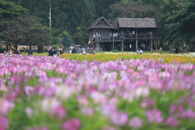 เฮือนนางสาหร่าย "บ้านคำแก้ว" เจ้าแม่นาคี สถาปัตยกรรมอีสานอันงดงาม