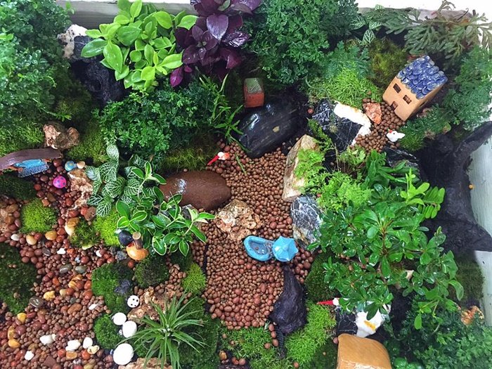 DIY Giant tray garden