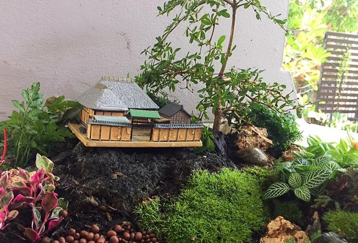 DIY Giant tray garden