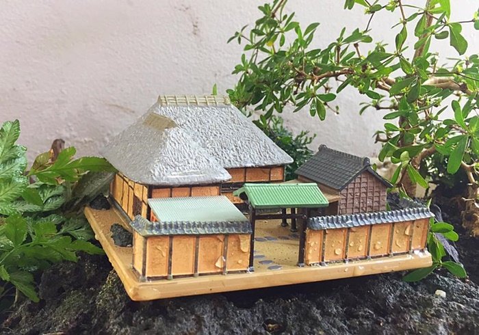 DIY Giant tray garden