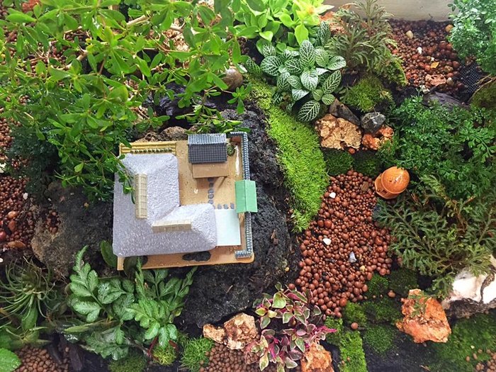 DIY Giant tray garden